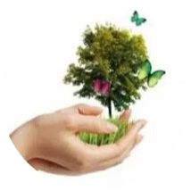 logo-ms-energie